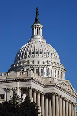 A symbol of the U.S. Congress and the legislative branch, the U.S. Capitol in Washington, DC, is one of the most recognizable buildings in the Nation. It is in the Capitol Building that the House of Representatives and Senate meet, debate, and discuss national legislation.